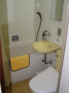 a bathroom with a sink and a toilet at Hotel Masyu in Teshikaga