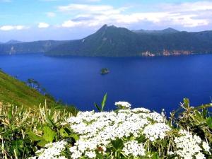 a view of a large body of water with flowers at Hotel Masyu in Teshikaga