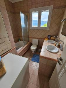 ein Bad mit einem Waschbecken, einem WC und einer Dusche in der Unterkunft Villa Zeus in Agios Konstantinos Fthiotida