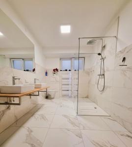 ein Bad mit einer Dusche und einem Waschbecken in der Unterkunft Mountains & Lakes - Chaletdorf in Villach