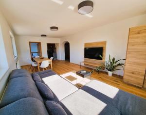 ein Wohnzimmer mit einem blauen Sofa und einem TV in der Unterkunft Mountains & Lakes - Chaletdorf in Villach