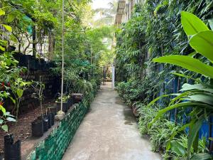 Bella في مومباي: حديقة بها نباتات على جانب المبنى