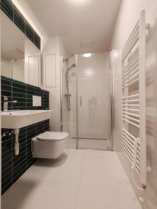 e bagno con doccia, servizi igienici e lavandino. di A Star Apartment Brno with Terrace a Brno