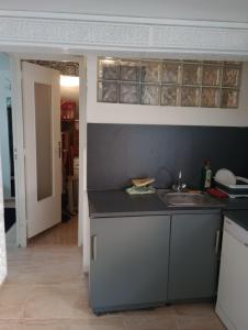 eine Küche mit einer Spüle und einer Arbeitsplatte in der Unterkunft Jolie appartement de deux pièces au calme in Épinay-sur-Seine