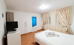 a bedroom with a bed and a flat screen tv at Casa de la ghiol in Murighiol