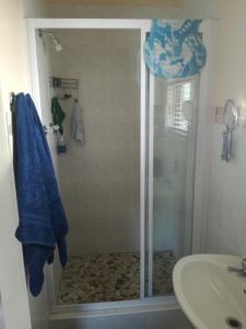 a shower with a glass door next to a sink at Captain's Sea Cabin in Cape Town