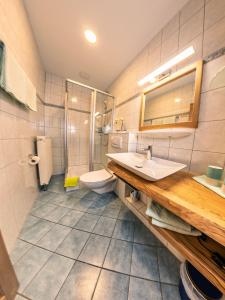 een badkamer met een wastafel en een toilet bij Gasthof Schneiderwirt, Kipfenberg OT Hirnstetten in Kipfenberg