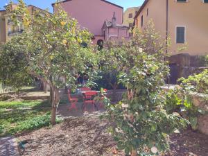 Apartment with private Garden في فينالي ليغوري: شجرتان برتقال في ساحة مع طاولة وكراسي