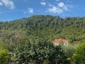 a mountain covered in trees with a house in the foreground at Blue Bay Beach Hotel in Koinyra