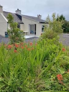 a garden with red flowers in front of a house at Harmony Haven Cottage in Foxford