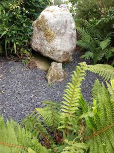 a large rock sitting in the middle of a garden at Harmony Haven Cottage in Foxford +27 photos