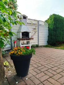 Afbeelding uit fotogalerij van Bungalow "Heimliche Liebe" in Bansin