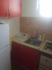 una piccola cucina con lavandino e frigorifero di VILA MILA SOKOBANJA a Soko Banja