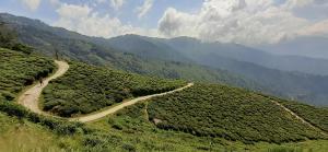 Ảnh trong thư viện ảnh của Rajbari Farms ở Darjeeling