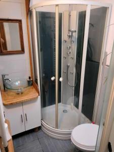 bagno con doccia e lavandino di Charmante maison en ville Paris a Charenton-le-Pont