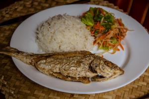 a plate of food with rice and a fish and salad at Le Tropical Chez Jeannette in Rodrigues Island
