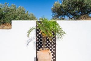 Fotografie z fotogalerie ubytování Georgia's Apartments Kouremenos Beach v destinaci Anevató + 24 fotografií