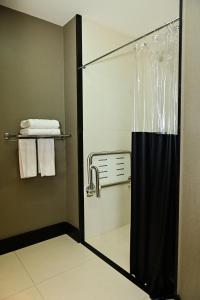 a shower with a glass door in a bathroom at NH HOTEL FEIRA DE SANTANA in Feira de Santana