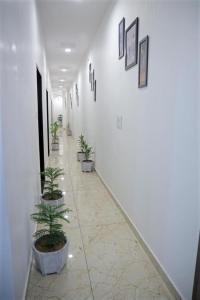 a hallway with potted plants on the walls at Hotel Homeland Inn in Sirsa