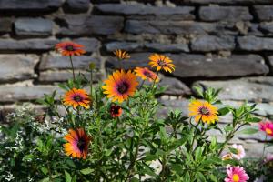 A garden outside Le Temps d'une Fugue