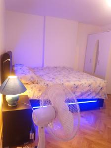 um quarto com uma cama e uma ventoinha ao lado de um candeeiro em Charming flat center and near the lake em Genebra