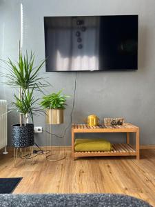 uma sala de estar com uma televisão numa parede com plantas em fichtel.flat em Mehlmeisel