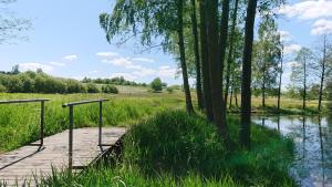 a wooden boardwalk in a field next to a river at Zimmer mit Küchenzeile in einer abgelegenen ehemaligen Hotelanlage in Vohenstrauß