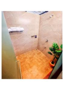 a bathroom with a shower with a plant in it at Knights Villa 5BHK in Chauk