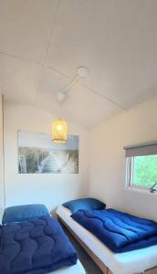 two beds in a room with blue pillows at Strandhuisje in Voorthuizen