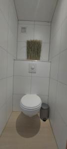 a bathroom with a toilet with a plant on the top at Strandhuisje in Voorthuizen +31 photos