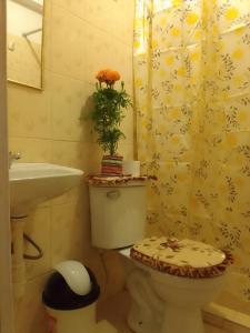 a bathroom with a toilet and a sink and a shower at Incas Town Inn in Cusco