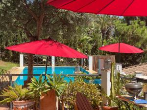 twee rode parasols voor een zwembad bij Casa Simba B&B Adults Only in Estepona