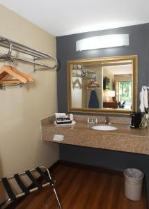 a bathroom with a sink and a mirror at Quality Inn Kenly I-95 in Kenly