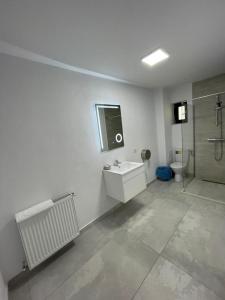 a bathroom with a sink and a shower and a toilet at Sole Boutique in Râmnicu Vâlcea