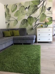 a living room with a couch and a green rug at Apartments "Am Ardetzenberg" in Feldkirch