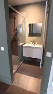 een badkamer met een douche, een wastafel en een spiegel bij Brussel-center lux apartment in Brussel