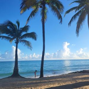 サンファンにあるCozy Beach Apartmentの浜辺のヤシの木の間に立つ者