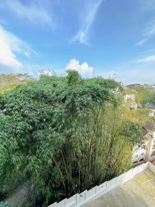 a large green tree next to a white fence at Luxury Suites at Brenthill Baguio City in Baguio