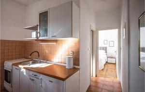 Kuchyň nebo kuchyňský kout v ubytování Two-Bedroom Apartment In Vinisce