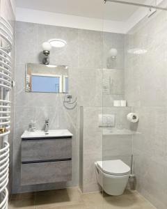 uma casa de banho com um WC, um lavatório e um espelho. em Apartment and rooms Maraton em Kranjska Gora