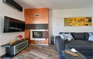ein Wohnzimmer mit einem Sofa und einem Kamin in der Unterkunft Pet Friendly Home In Radovan With Sauna 