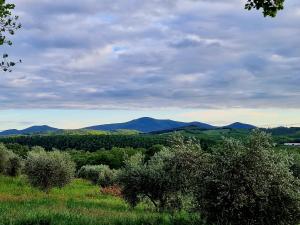 vistas a un campo con árboles y montañas en Agriturismo Poggio La Buca, en Civitella Marittima