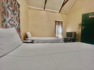 Lindy's Guesthouse في ماسيرو: غرفة نوم بسريرين وتلفزيون