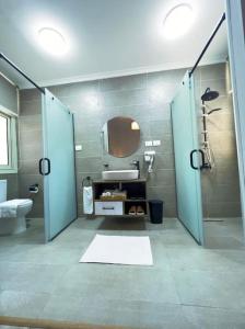 La salle de bains est pourvue d'une douche, d'un lavabo et d'un miroir. dans l'établissement 2 bedroom apartement in the center of cairo, au Caire