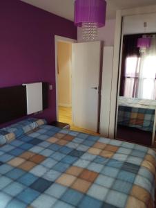 a bedroom with a large bed with purple walls at 3 hab 2 baños parking terraza in Soria