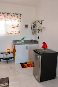 a kitchen with a counter and a small refrigerator at Royal Terrace V (Duque) in San Felipe de Puerto Plata