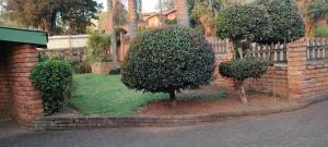 a brick fence with two trees in a yard at Mabel's house in Sabie