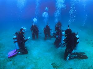 Gæster der bor på Republika Airbnb