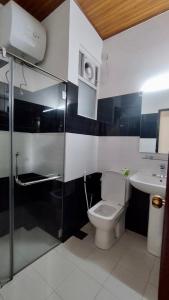 een badkamer met een toilet en een wastafel bij Skylight Apartment in Nuwara Eliya
