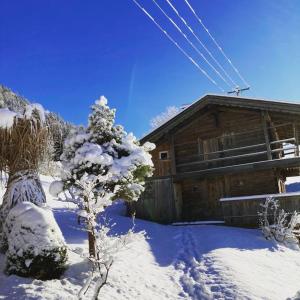 Kastnhäusl Wildschönau - urige Hütte mit Bergblick talvel